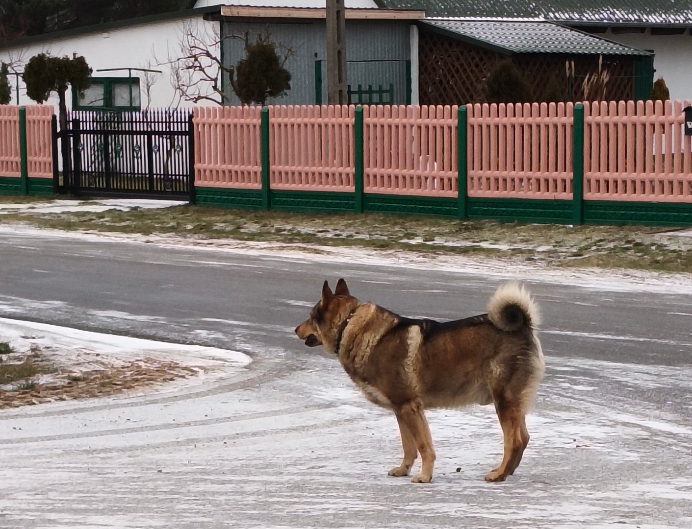 Poszukiwany właściciel!