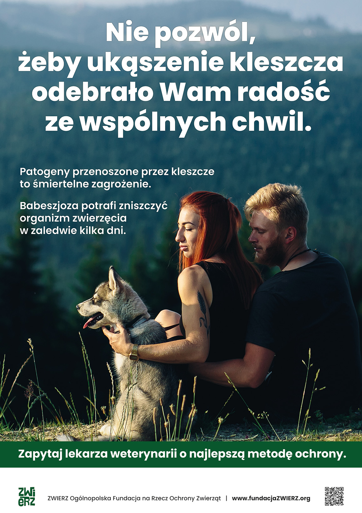 Uwaga - kleszcze!
